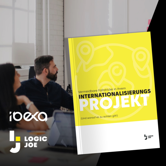 Teasermotiv-fuer-E-Book-Internationalisierung