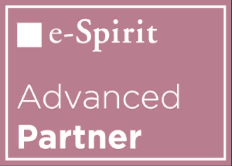 FirstSpirit Partner Logo