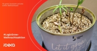 Fotoeinsendung von Ibexa zur Let it grow